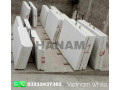 vietnam-white-marble-pakistan-0321-2437362-small-4