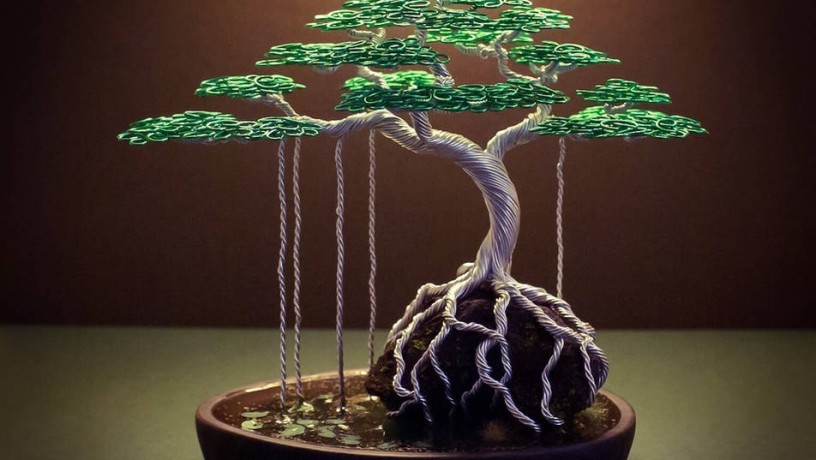 plant-bonsai-big-0