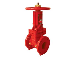 OS & Y gate valve