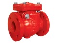 check-valve-small-0