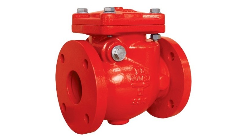 check-valve-big-0